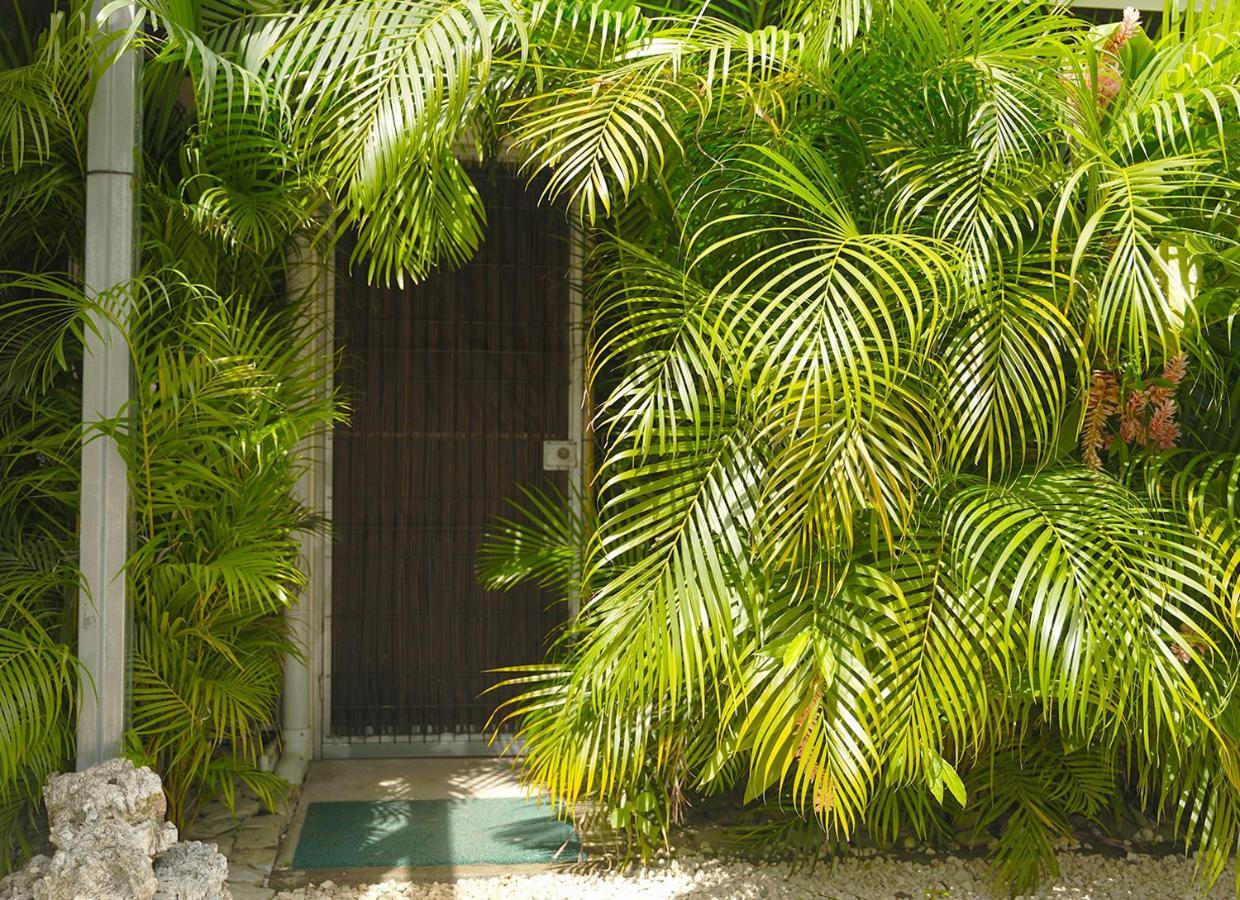 Apartamentos Y Studios Brisas Del Mar Santa Teresa Playa Santa Teresa  Luaran gambar